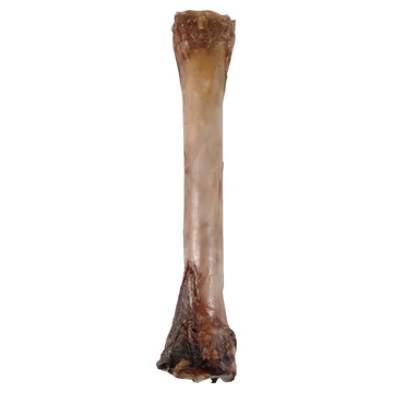 NATURAL FARM 自然牧場 馬腿骨 粗蛋白90%  1個  310g