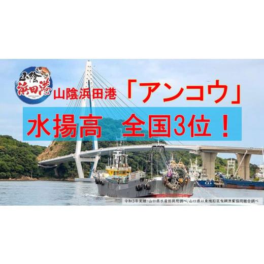 ふるさと納税 島根県 浜田市 1424.山陰浜田港　国民宿舎千畳苑　天然あんこう鍋セット5〜6人前