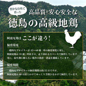 丸本特製阿波尾鶏　塩鍋セット　もも・つみれ　合計700gセット（2～3人前）