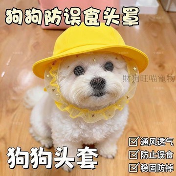 💕在臺出貨🔥防偷吃亂吃網紗狗狗頭套小型犬泰迪比熊防咬防誤食麪罩防舔嘴套