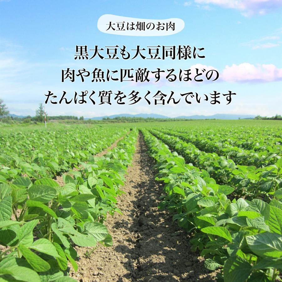 新豆 大粒光黒大豆 3.0上 500グラム 令和5年収穫 北海道産