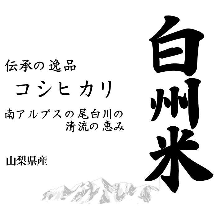 白州米 新米 米10kg コシヒカリ 山梨県産 日本名水100選 白州米 令和5年産