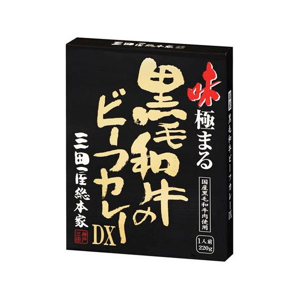 アイキューファームズ 三田屋総本家 黒毛和牛のビーフカレーDX 220g x10 メーカー直送