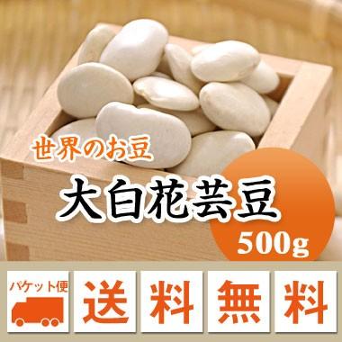 豆 白花豆 大白花芸豆 500ｇ 中国産 メール便送料無料 ※日時指定不可・代引不可・同梱不可商品