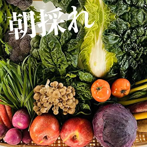  野菜 と 果物 詰め合わせ セット 無農薬 栽培