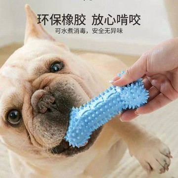【48時熱賣】寵物狗TPR磨牙玩具小型犬金毛解悶幼犬狗用品寵物玩具耐咬