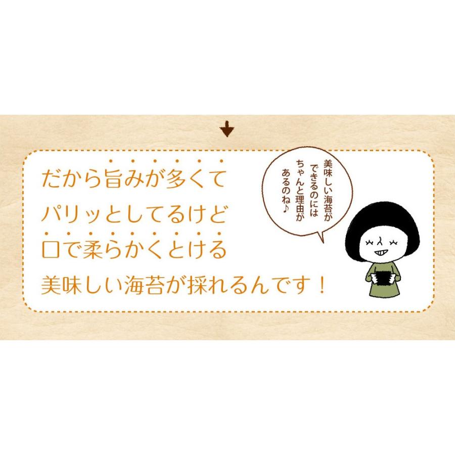 きざみ海苔 有明産 上級きざみ海苔 40g メール便 送料無料 刻み海苔 きざみ海苔 きざみのり ちらし寿司 弁当 トッピング ポイント消化 お取り寄せグルメ