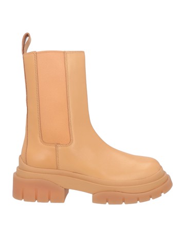 ASH Ankle boots - Item 17174042