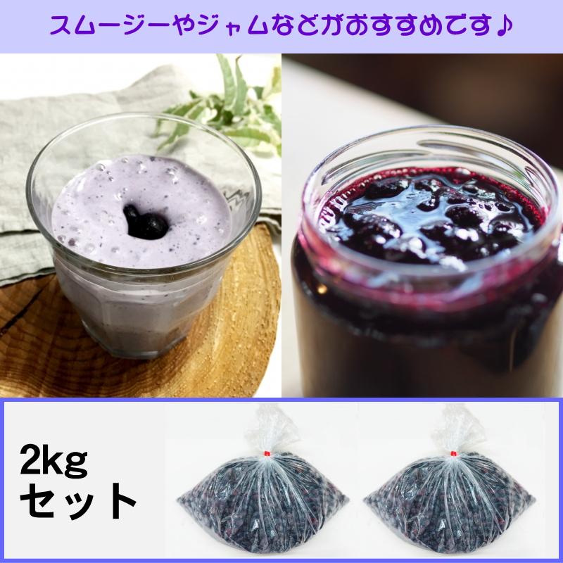 冷凍ハスカップ 2kg 北海道産 送料無料
