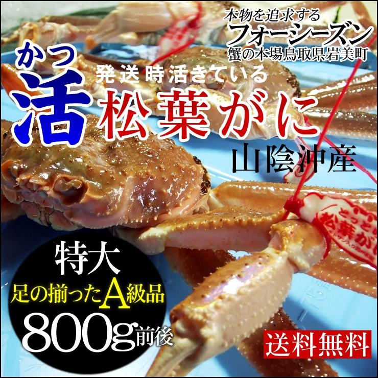 カニ かに 蟹 特産品 予約販売 発送時に活きている 活松葉がに タグ付 贈答用 特大　1枚 800g前後 送料無料