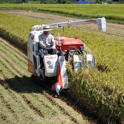 ふるさと納税 田上町 新潟田上町産なんかんコシヒカリ 玄米 10kg