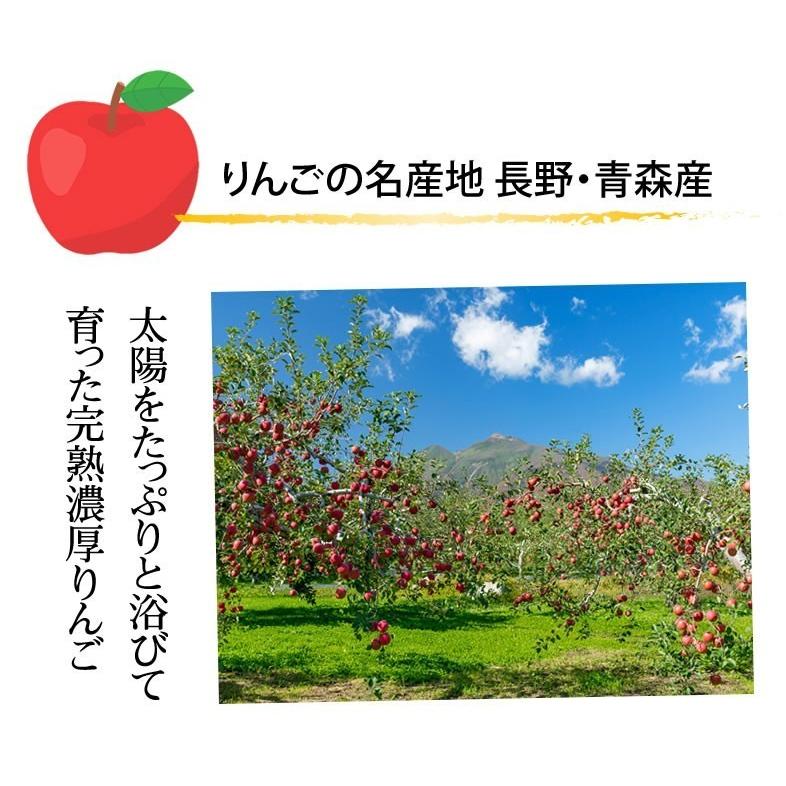 りんご 訳あり リンゴ 送料無料 約1.5kg 長野・青森県産 2セットで1セットおまけ お取り寄せ サンふじ つがる ジョナゴールド ふじ 林檎