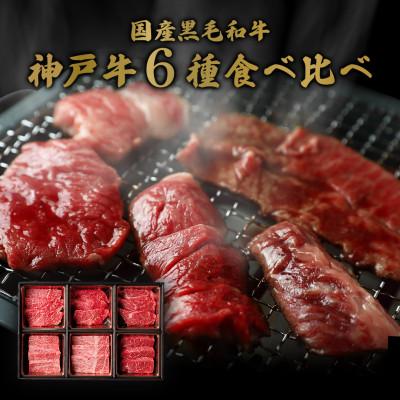 ふるさと納税 朝来市 神戸牛6種の希少部位焼肉食べ比べ500g