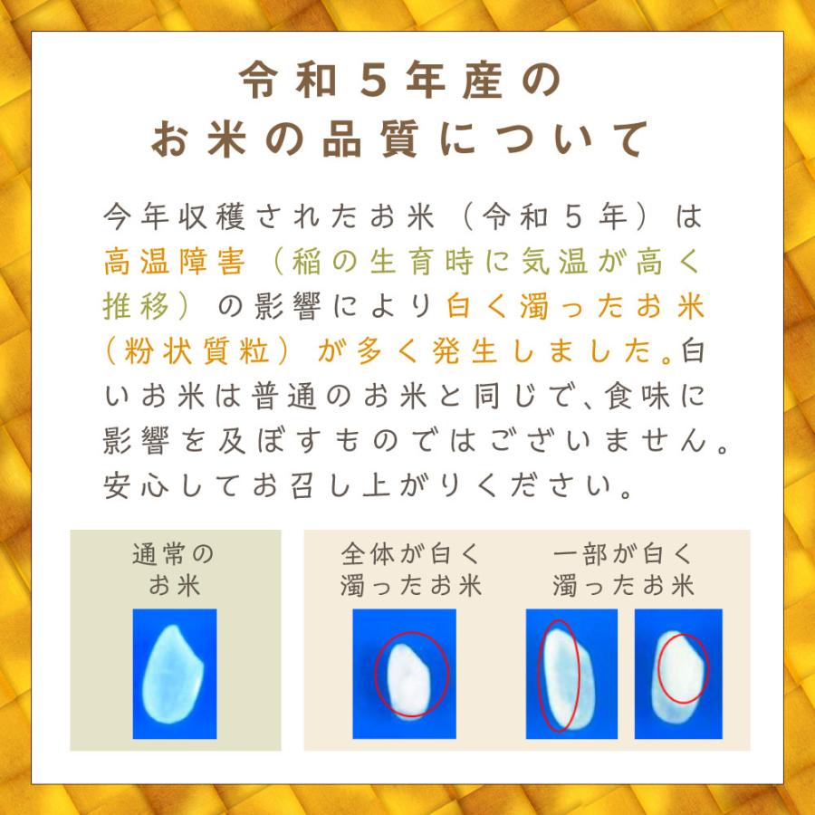 令和5年度 新米 お米 10kg コシヒカリ 米 5kg 2袋セット 新潟 国産 日本産 10キロ 白米