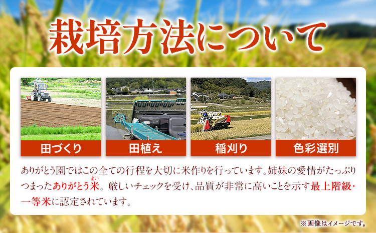 新米 令和5年産 米 岡山県産 きぬむすめ 白米 選べる 10kg ありがとう