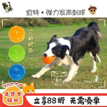 宜特彈力發聲刺球 寵物狗狗大型犬幼犬巡回訓練耐咬互動尋回玩具