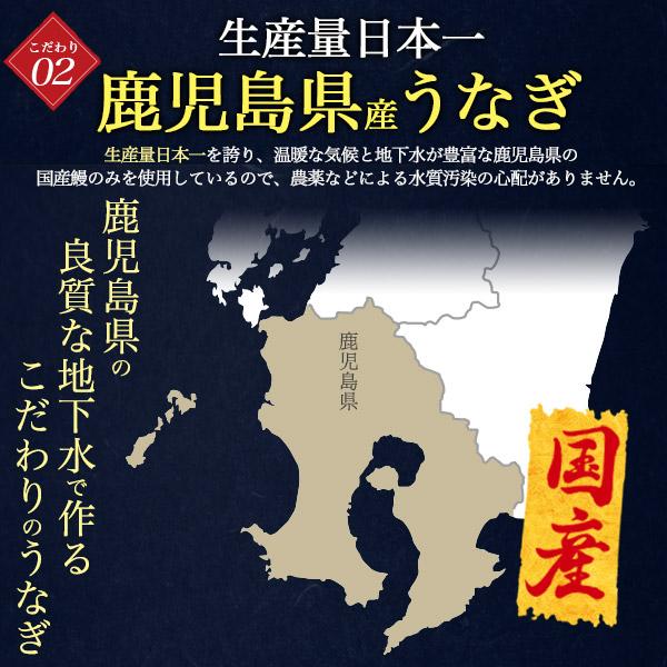 うなぎ 80g×4パック 訳あり カットうなぎ 鹿児島県産 うなぎ ウナギ 鰻 蒲焼き 蒲焼 かばやき うなぎ蒲焼き 冷凍便 わけあり アウトレット 国産