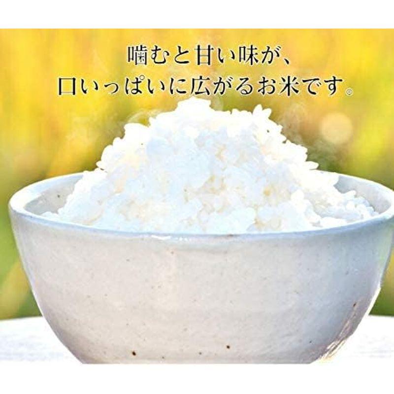 新米 精米 新潟県 佐渡産 コシヒカリ 朱鷺と暮らす郷 令和4年産 白米 米 コメ （5?×1袋）