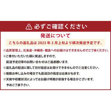 ふるさと納税 あまおうDX 約280g×2パック 苺 イチゴ デラックス ※北海道・沖縄・離島配送不可 福岡県岡垣町