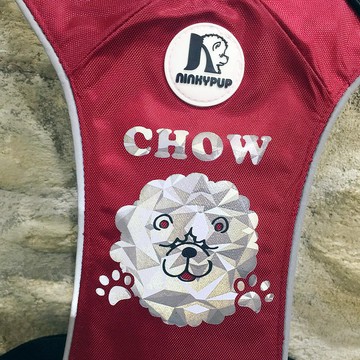 法鬥貴賓鬆獅犬 寵物胸背牽繩組 客製化姓名電話 反光安全耐用