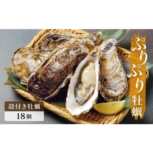 ふるさと納税 宮城県 石巻市 殻付き牡蠣 18個（生食用）