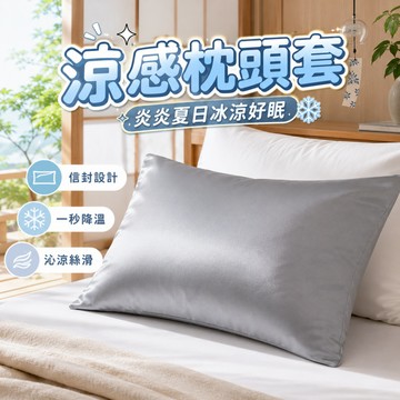隔日到貨 冰涼枕頭套 涼感枕頭套 冰絲枕套 天絲枕頭套 枕頭保潔墊 素色枕頭套 48x74cm 枕套 信封枕頭套