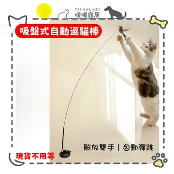 伸縮逗貓棒 最長到180cm 逼真鳥逗貓頭 貓玩具 懶人逗貓棒 伸縮逗貓棒 逗貓桿 伸縮逗貓桿 可替換逗貓桿 懶人逗貓桿