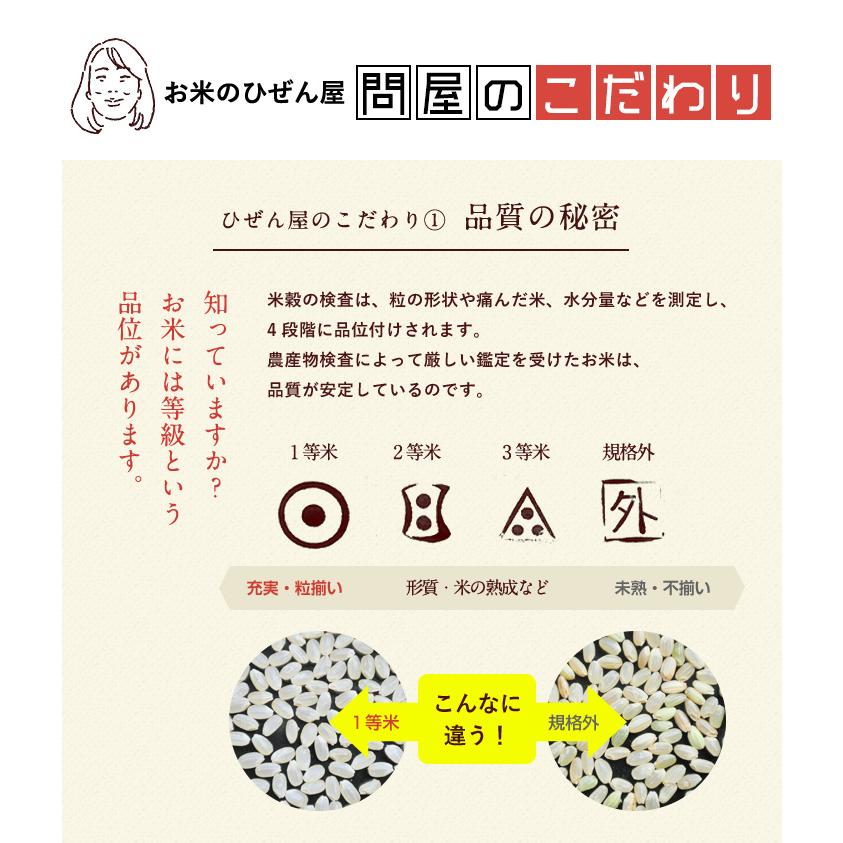 新米　5年産　佐賀県白米2kgひのひかり お米 米 佐賀県産