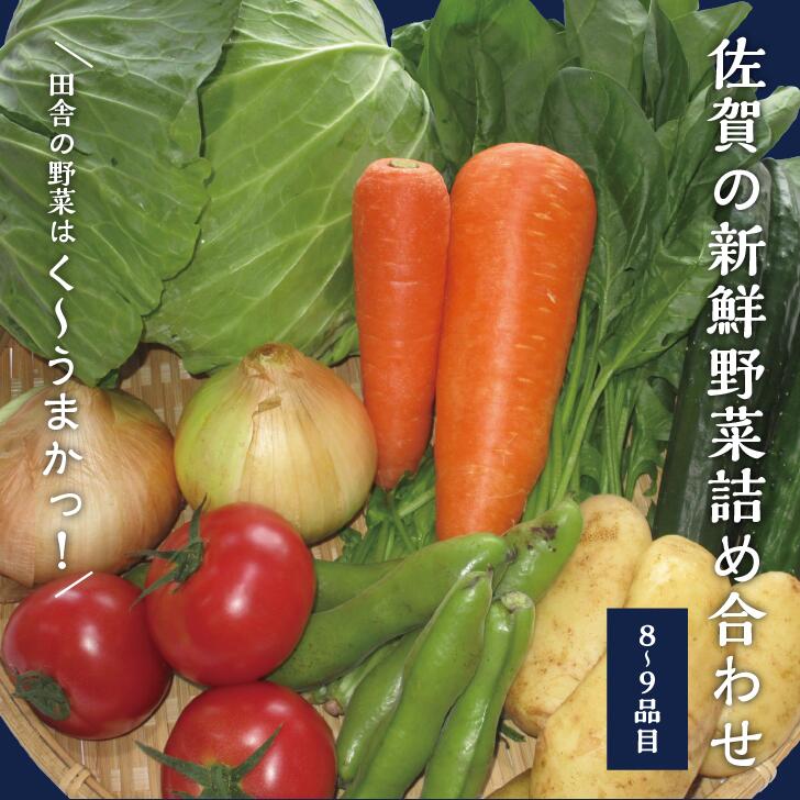 新鮮・季節の野菜詰め合わせ：B013-023