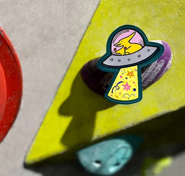 恐龍防水貼紙 / 翼龍