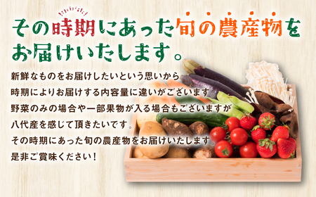 八代市産！旬の農産物詰合せ 復興 福袋 8品以上