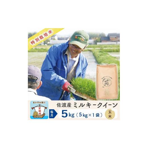 ふるさと納税 新潟県 佐渡市  佐渡島産 ミルキークイーン 玄米5Kg 特別栽培米