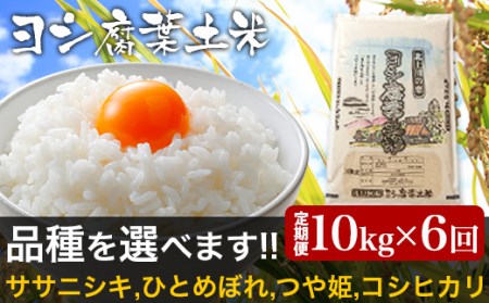 令和5年産＜定期便＞ヨシ腐葉土米 精米60kg（10kg×6回発送）ひとめぼれ