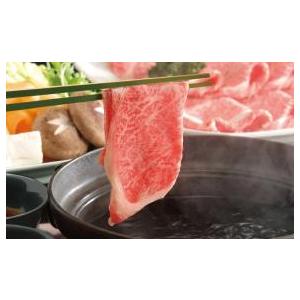 ふるさと納税 飛騨牛Ａ５しゃぶしゃぶ用ロース肉(400g) 岐阜県大垣市