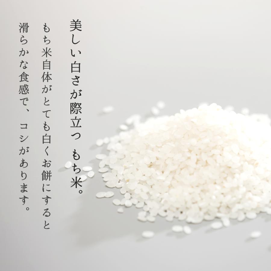 もち米 2kg ヒメノモチ 山形県産 送料無料 精米無料 新米 令和5年