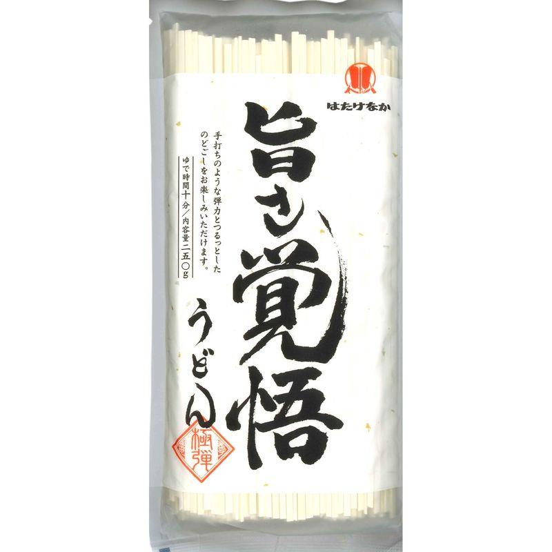 はたけなか製麺 旨さ覚悟うどん 250g ×15個