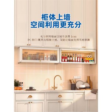 廚房調料置物架吊柜下家用壁掛帶門上翻壁掛免打孔調味碗碟收納柜