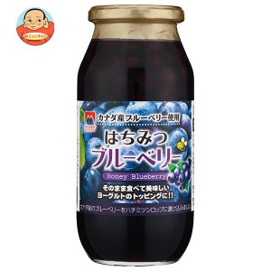 加藤美蜂園 はちみつブルーベリー 650g瓶×6本入｜ 送料無料