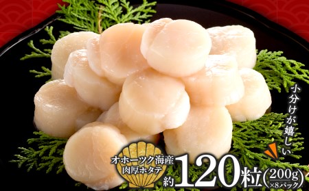 ほたて 貝柱 冷凍 200ｇ(15粒前後)×8パック 小分け お取り寄せ 刺身 《横田水産》