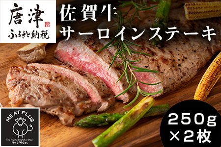 艶さし！佐賀牛サーロインステーキ 250g×2枚(合計500g) 肉 牛肉 ステーキ 焼肉 BBQ バーベキュー ギフト アウトドア 「2023年 令和5年」