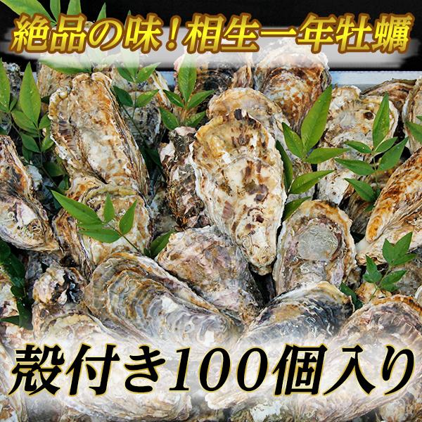 送料無料　瀬戸内相生産 殻付牡蠣 100個入り