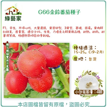【綠藝家】G66.金鈴番茄種子4顆