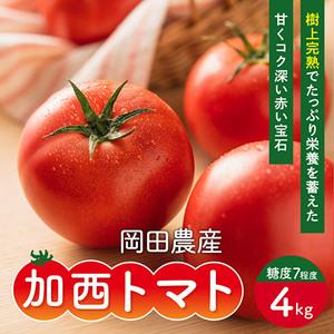 ふるさと納税 加西とまと（2024年度産）4kg 兵庫県加西市