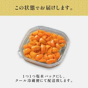 ふるさと納税 無添加　極上エゾバフンウニ塩水パック80g C：24年1月下旬〜3月下旬迄　 北海道登別市