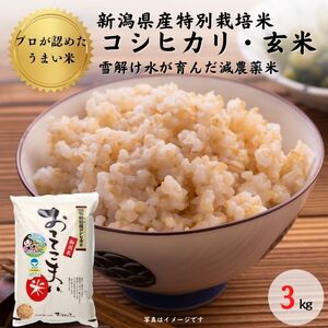 新潟県産 特別栽培米コシヒカリ3kg×1袋「おててこまい」100%根知産 減農薬 専門家お墨付き 令和5年産 産地直送 糸魚川