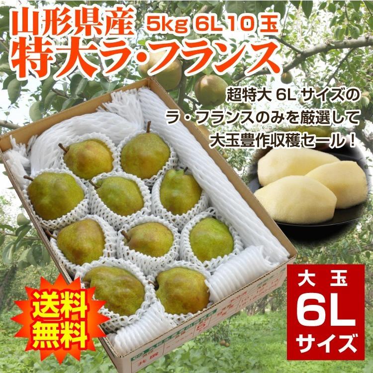 ギフト ラ・フランス 送料無料 洋梨 山形県産 5kg（10玉入） 特大 6Lサイズ ラフランス