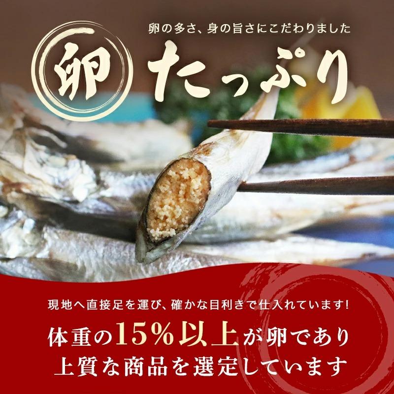 ししゃも 子持ち 干物 からふとししゃも 1kg(500g×2パック) 卵率15%以上 アイスランド産