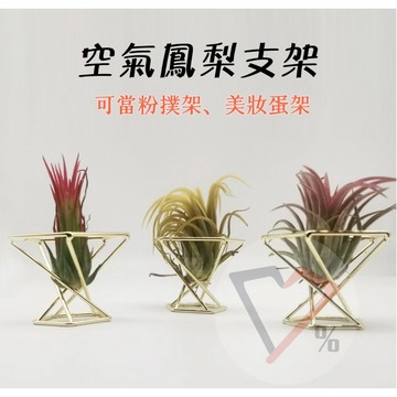 空氣鳳梨支架【隔日到貨】空氣鳳梨 美妝蛋架 粉撲架 美妝蛋支架 粉撲支架 空氣鳳梨盆栽 空氣鳳梨架