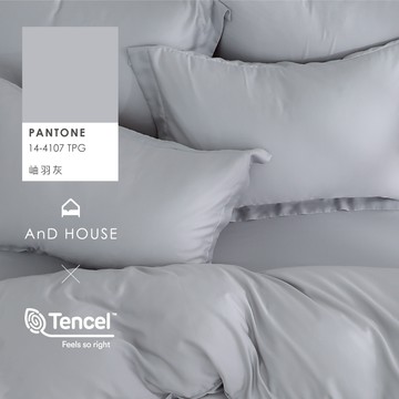 AnD House 天絲60支-岫羽灰-床包被套組｜安庭家居 素色 顏色任搭