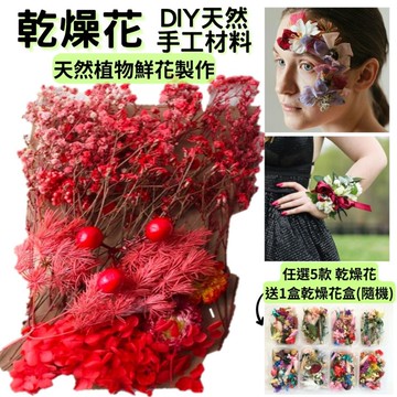 【A-ONE】紅乾燥花材料包 永生花 花材包 DIY 手作 桌花 永生玫瑰 花籃 花盅 七夕情人節 C05 紅豆相思_廠商直送